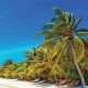 Lily Beach Maldives App