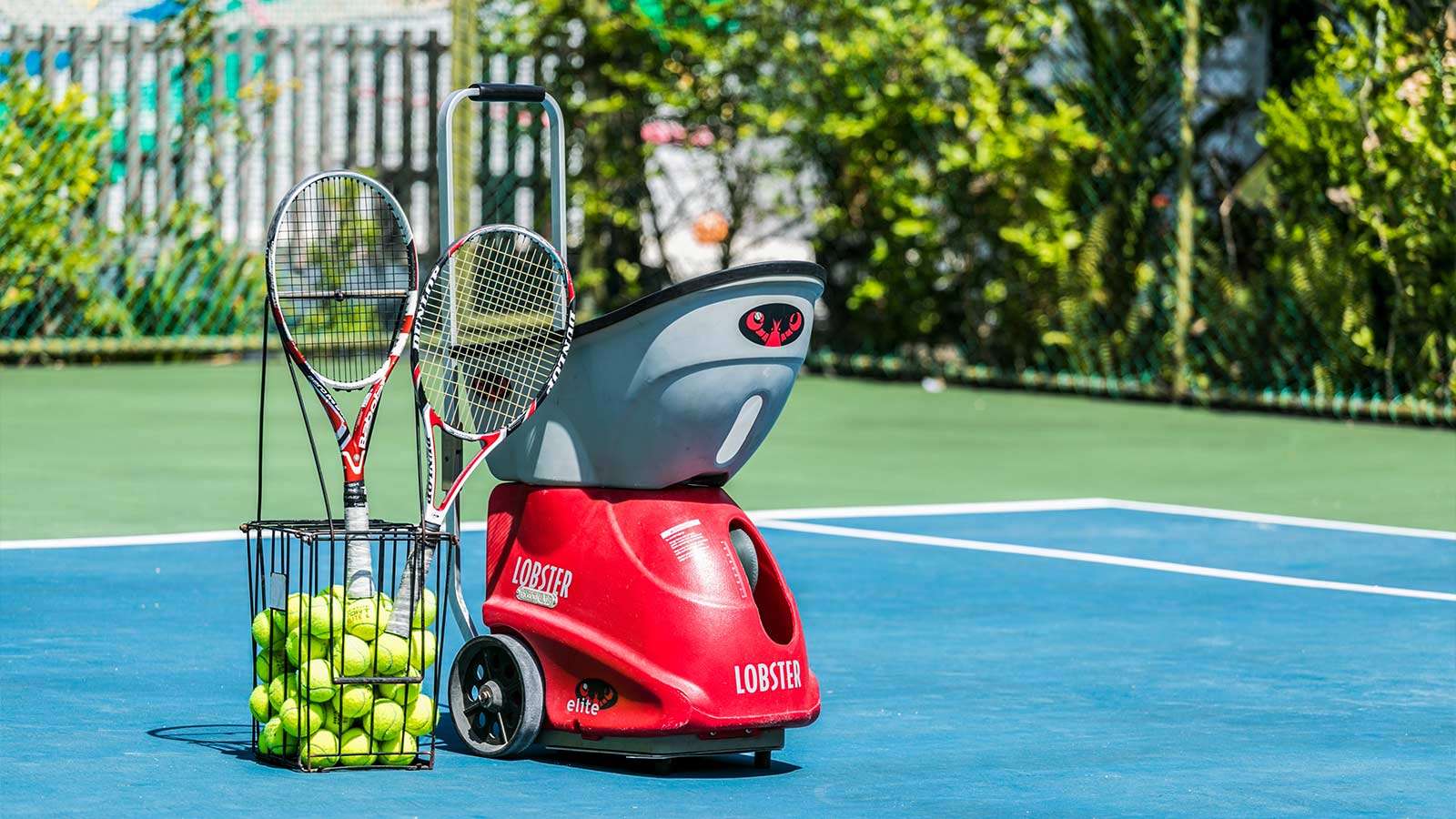 Tennis