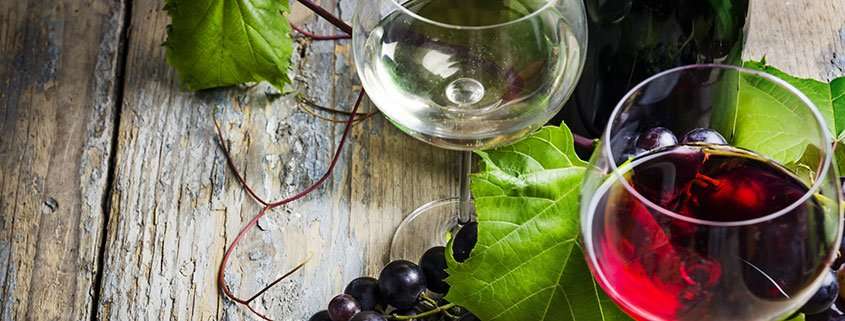 stonefish wines