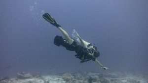 Experience scooter diving at Lily Beach